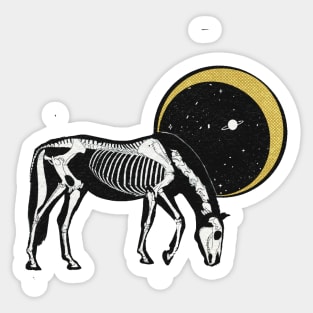 SKELETON HORSE Starry Night Illustrated Design Sticker